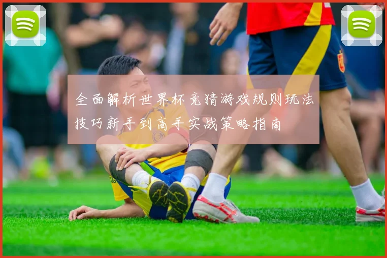 全面解析世界杯竞猜游戏规则玩法技巧新手到高手实战策略指南