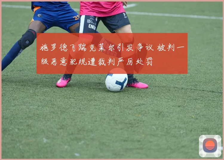 施罗德飞踹克莱尔引发争议 被判一级恶意犯规遭裁判严厉处罚
