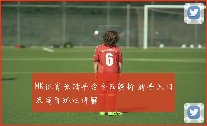 MK体育竞猜平台全面解析 新手入门及高阶玩法详解