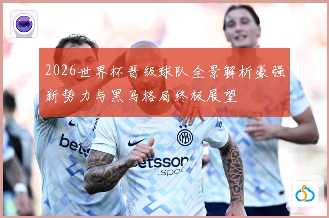 2026世界杯晋级球队全景解析豪强新势力与黑马格局终极展望