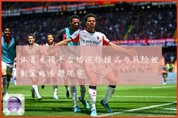体育竞猜平台的运作模式与风险控制策略专题观察