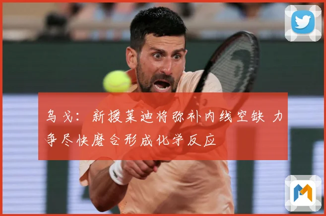 乌戈：新援莱迪将弥补内线空缺 力争尽快磨合形成化学反应