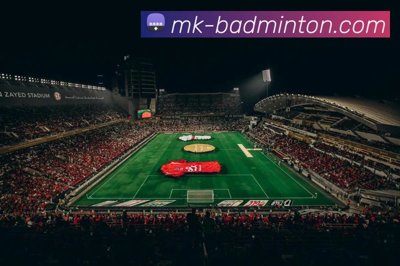 MK体育平台展示图